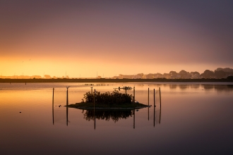 The Brownsea Lagoon © Damien Garcia