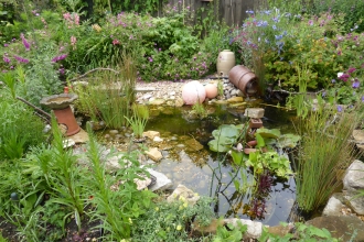 Wildlife friendly garden by Briony Baxter 