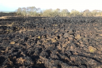 Fire damage on Winfrith Heath nature reserve by Brian Bleese