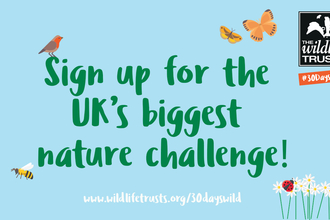 Sign up for the uk's biggest nature challenge