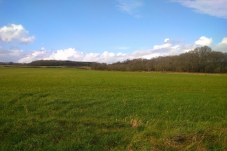 Photo - farmland with grass and woodland in the distance, blue sky