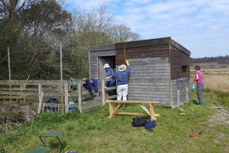 Photo - volunteers repainting the hides at Winfrith