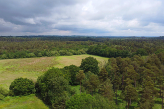 Photo - woodland and fields from above