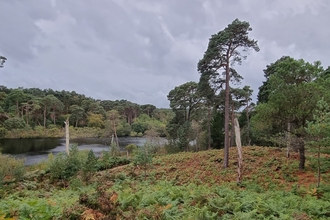 Photo showing Brownsea Island