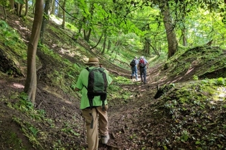Photo showing people walking through woodland