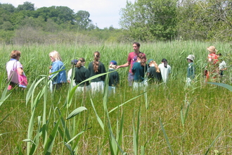 Young volunteers at Brownsea