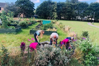 Community planting day at Townsend