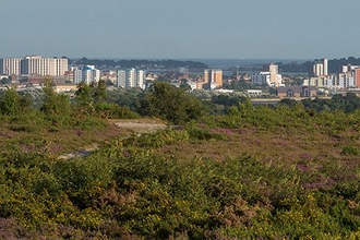 Heathland and town