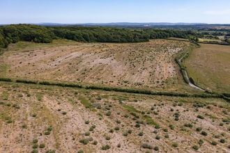 Ariel view of Wild Woodbury