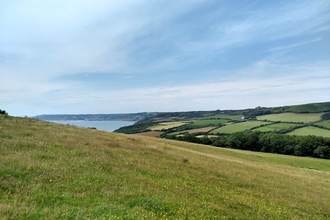 Neut Grassland St Gabriel's