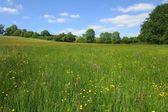 Kingcombe National Nature Reserve