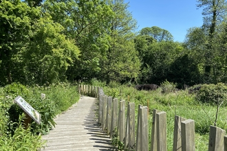 Kingcombe Visitor Centre board walk