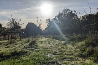 Kingcombe field with sun