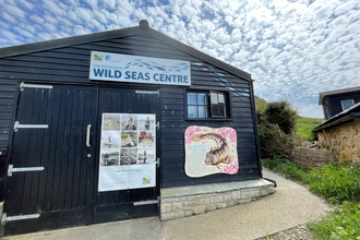 An image of the Wild Seas Centre