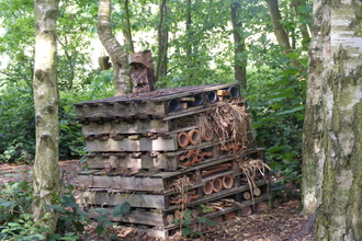 Example of a large bug hotel