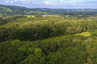 Green woodland landscape shot from above, with horizon in the distance and blue sky