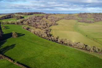 Lyscombe