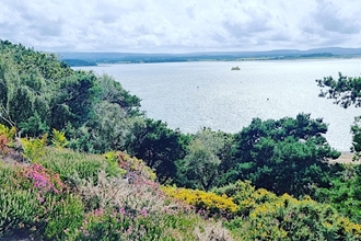 View from Brownsea Island