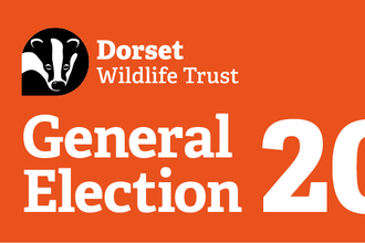 General election banner