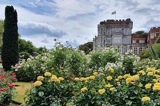 Castle with flowers in foreground