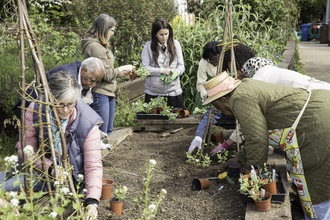 Community garden