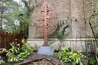 Brownsea Memory Tree