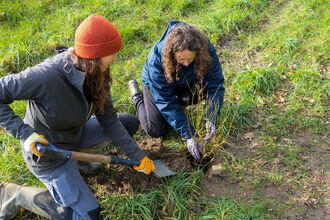 Two people planting a tree