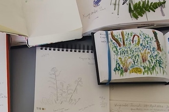 Sketches of flowers and plants