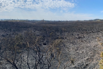 Wildfire on Upton Heath