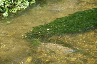 River Hooke