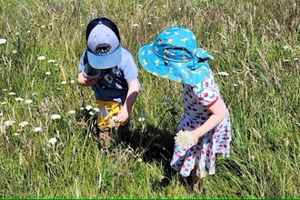 Two small children in a meadow