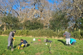 Tree planting at West Holme