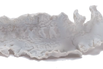 A sculpture of a seaweed fragment made from bone china