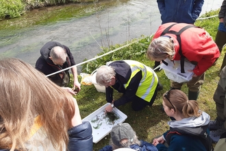 Riverfly monitoring
