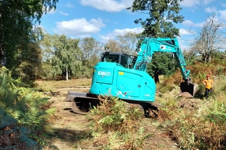 A turquoise digger working on a nature reserve with bracken in the foreground and trees in background