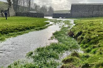 Little Piddle at Lyscombe 