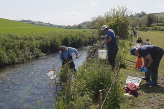 people monitoring riverfly along a river