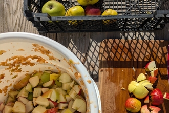 A photo of chopped apples on a chopping board and in a bucket ready for pressing.