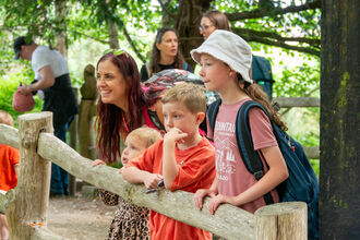 Families enjoying Brownsea Island