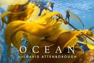 Copy of Screenings Posters for Ocean with David Attenborough