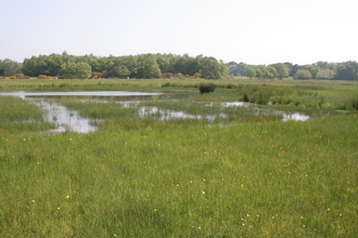 Tadnoll and Winfrith Heath 