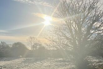 Frost on the grass in sunlight