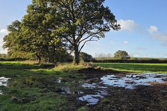 Tadnoll and Winfrith Heath 