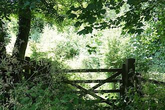 Wooden gate with trees and leaves