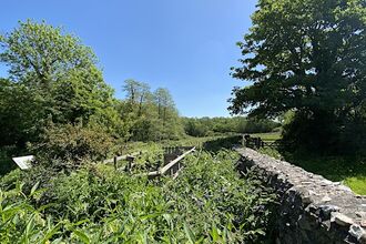 Wall with trees around.