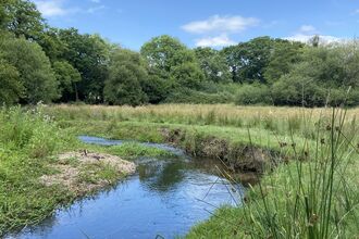 River going through green meadow