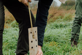 Tree planting at Wild Woodbury