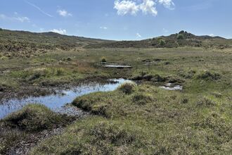 Agglestone Mire