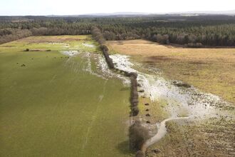 Aerial view of Wild Woodbury showing the wetlands created through the river restoration
