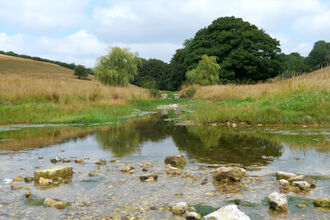 Lyscombe National Nature Reserve